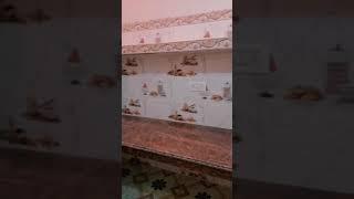 dharmendra tile setting video
