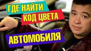 ️ Как узнать код краски автомобиля 