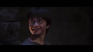 Hagrid Gives Dudley A Tail  | The Philosopher’s Stone