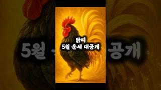 2025년 5월 닭띠 운세! 기회와 조심이 함께 오는 한 달!