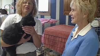 Spirit of Winona: Humane Society - Winona State University Digital Collections