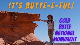 Nevada Backroads & Petroglyphs | Scenic Drive Thru Gold Butte National Monument | SUBOVERLAND 4x4