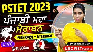 PSTET 2023 | PUNJABI MARATHON CLASS | Pedagogy & Grammar | Skylite Academy