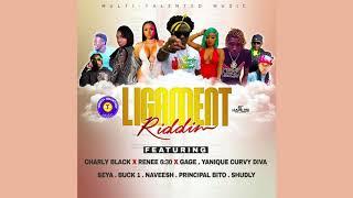 Ligament Riddim Mix (2019) Charly Black,Yanique Curvy Diva,Gage & More (Multi Talented Music)