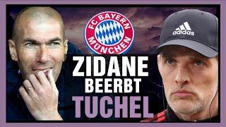 Bayern-Aus: Tuchel im Sommer weg - Zidane wird Trainer - FC Bayern München