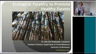 Ecological Forestry to Promote Healthy Forests