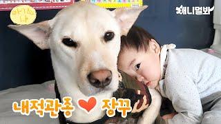 태어나보니 엉아가 극I 강아지 근데 이제 아기 장꾸력이 만렙인ㅣBaby And Bug Brother Dog With Max Rascalness