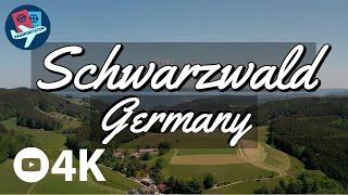 Flying over Schwarzwald | The Black Forest - Germany - 4K UHD