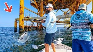 Fishing Giant Oil Rigs in the Gulf of Mexico For Dinner!