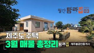  월간 탐라집 2025년 3월  제주도주택 매물정리^_^