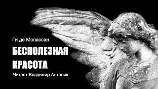 «Бесполезная красота». Ги де Мопассан. Аудиокнига. Читает Владимир Антоник