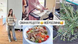 ДЕ ВІДСВЯТКУВАТИ ДЕНЬ НАРОДЖЕННЯ?  РЕЦЕПТИ - ФУНЧОЗА З ОВОЧАМИ 