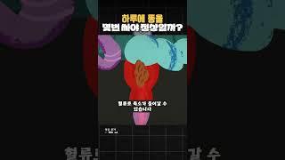 똥을 하루에 몇번 봐야 정상인일까? 똥최몇??