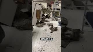Сержант учит дисциплине!