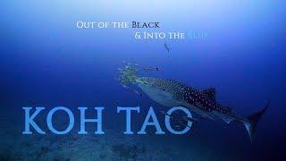 Diving KOH TAO. Out of the Black & Into the Blue (CHAPTER #1) | PANASONIC GH5