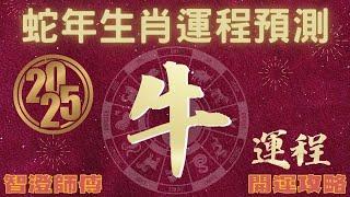 2025年 乙巳年 生肖運勢 蛇年十二生肖運程 —【肖牛】 | 概括運程+四季不同時段出生 屬牛運程 | 開運攻略 | 生肖運程 分析 | 愛情、事業、正財、橫財、健康預測 | 生肖運程 2025增運