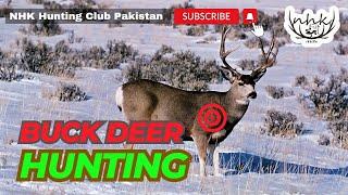 Buck Deer Hunting  | Trophy Hunting