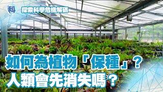 植物和人類 哪個會先消失？【探索科學 危機解碼】EP6-1