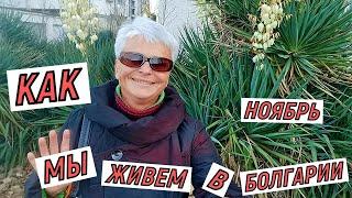 #vlog Жизнь на пенсии в Болгарии. Как живут русские пенсионеры в Болгарии. Ноябрь 2021.