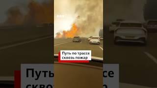 В Израиле лесные пожары подобрались к трассе, соединяющей Тель-Авив и Иерусалим.