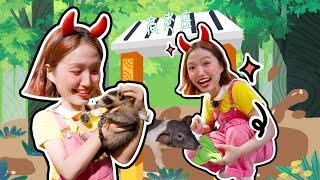 Jingjing Comes 2: Sister Jingjing Visits West Tour Animal City (Part I)