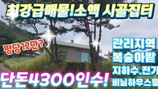 최강 급매물!!연수익 약 4~5000만원!! 4차선인근.도로접한.관리지역.전 940평.복숭아 나무. 지하수.전기.비닐하우스~몽땅드림.전원주택.급매물임장tv 010-2582-8959