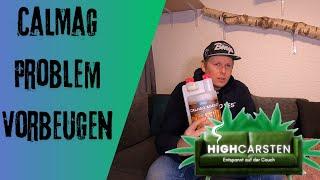 Dem CalMag Problem vorbeugen#cannabiseducation #420