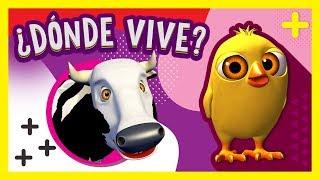 ¿Dónde vive el Pollito Pío? La Vaca Lola y más Animales de La Granja de Zenón | A Jugar