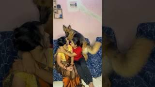 She is my mommy ️#dog #doglover #germanshepherd #reels #viral #shorts #love #cute #gsd #puppy