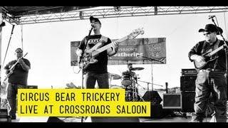 Circus Bear Trickery | Amos Moses | Live at Crossroads Saloon