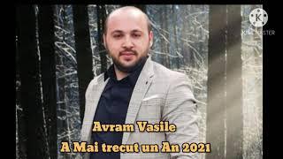 Vasile Avram A Mai trecut un An  2021(Oficial audio)