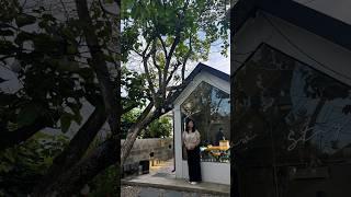 포항 칠포 슬로우스테이 펜션 20주년 #쇼츠 #포항두리부동산 #포항아파트 #포항공인중개사 #공일오회모임