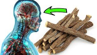 13 Incredible Licorice Roots Health Benefits for the Body