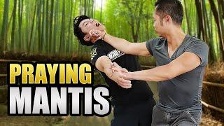 The Secret to Develope Praying Mantis Strikes