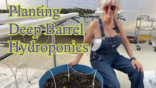 Planting my Cutting-Edge Deep Barrel Hydroponics