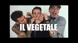 ROVAZZI e il suo primo film 'IL VEGETALE'