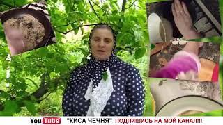 КИСА ЧЕЧНЯ - НАШУМЕВШИЙ БЛОГЕР...РУССКАЯ МУСУЛЬМАНКА...ПОДПИСЫВАЕМСЯ НА ЕЕ КАНАЛ!