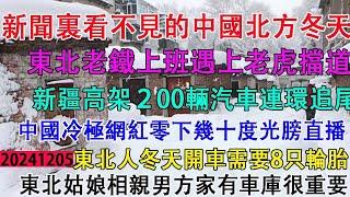 新聞裡看不到的中國北方冬天，東北老鐵上班路上遇老虎當道，新疆高架路面結冰，200輛汽車發生連環事故。中國冷極零下幾十度網紅光膀子直播。東北人開車需要八條輪胎。