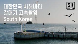 대한민국 서해바다에서의 고속촬영, 갈매기, 드론영상소스, South Korea