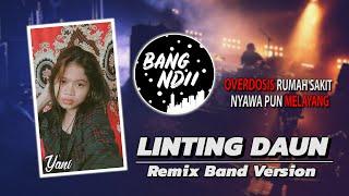 LINTING DAUN | OVERDOSIS RUMAH SAKIT | TikTok Viral 2022 - Remix Band Version