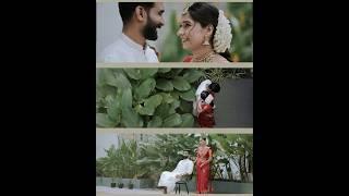 wedding highlights  #subscribe #wedding #minivlog #trending