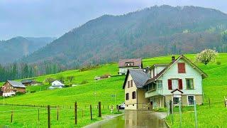 Driving In Switzerland Countryside _ Cloudy Spring View of Swiss