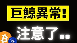 比特幣108500新高後回踩! 鏈上大鯨魚卻出現大額異動..注意了! ETH歷史從未出現過的大鯨魚占比.. ADA只是正常回調..!?