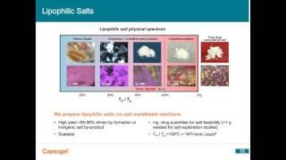 Enabling Formulation of Water-Soluble and Water-Insoluble Molecules Using a Lipophilic Salt Approach