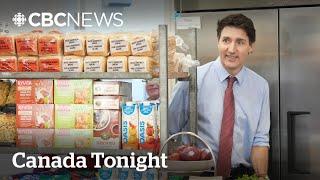 Will Trudeau's temporary tax holiday really help families? | Canada Tonight