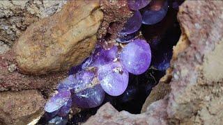 Cracks in the valley after the earthquake. Some purple crystal eggs appear