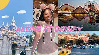 I went to Disneyland alone and had the time of my life