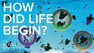 How did life on Earth begin? | The Royal Society