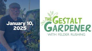 The Gestalt Gardener - January 10, 2024