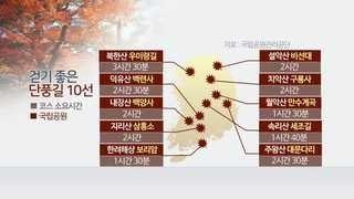 가을 전국에 '붉은 물결'…걷기 좋은 단풍길 10선